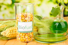 Plumstead Green biofuel availability